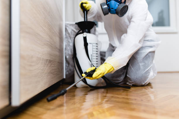 Pest Prevention Services in Portland, ME