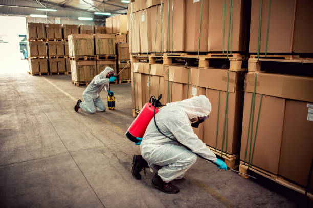 Best Affordable Pest Control Services  in Portland, ME